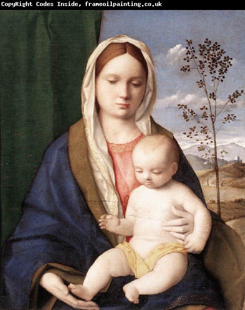 BELLINI, Giovanni Madonna and Child mmmnh